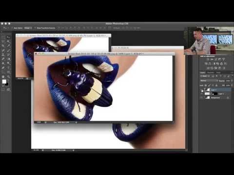 How to Set Up and Use a Wacom Tablet