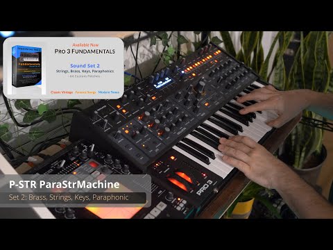 Sequential Pro 3  - Fundamentals Sound Set 2 - 64 String, Brass, Key, Organ, and Paraphonic Patches