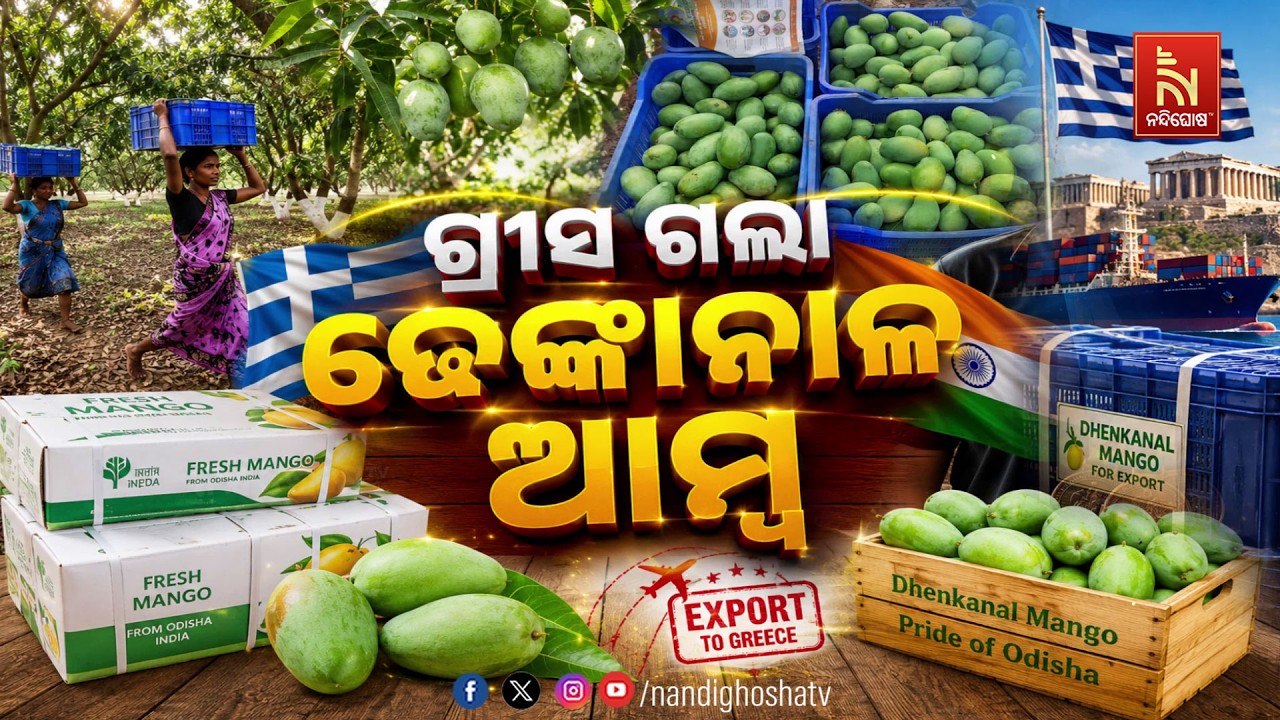 🔴Live | ଗ୍ରୀସ ଗଲା ଢେଙ୍କାନାଳ ଆମ୍ବ