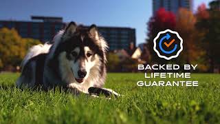 Monster K9 Chew Ring