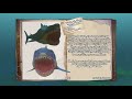 Fish Feed And Grow Dossier The Megalodon