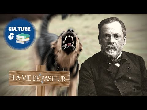 Louis Pasteur, the father of modern medicine