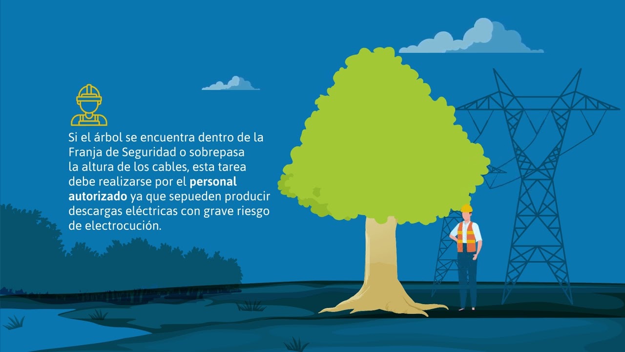 Fotograma de Transener / Transba — infografías