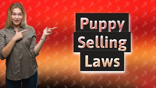 Do I need a licence to sell puppies UK?