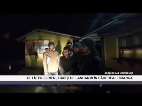 Cetateni Sirieni, gasiti de jandarmi in padurea Lucianca - www.columnatv.ro