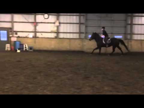 Zeus & Karen 2'6 May '14