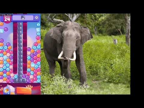 Angry Birds Dream Blast level 21