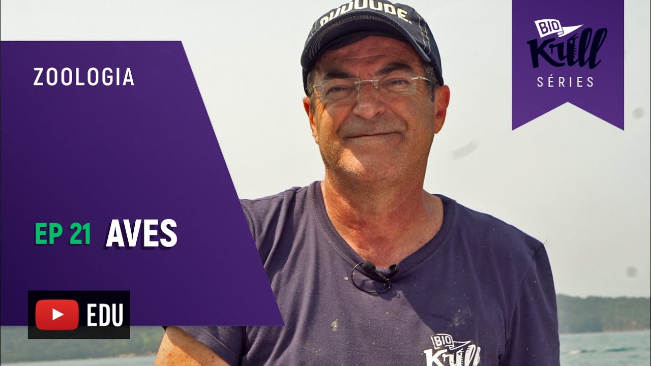 Aves (Zoologia - EP21) I Biokrill Séries