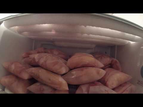 Catfish Harvest and Planting Corn