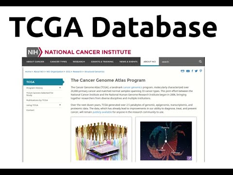 Bioinformatics for beginners | Course | Download data from TCGA database | Data Mining | Tutorial