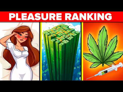 Most Pleasurable Things a Human Can Experience