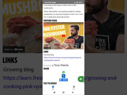 RnBlogApp