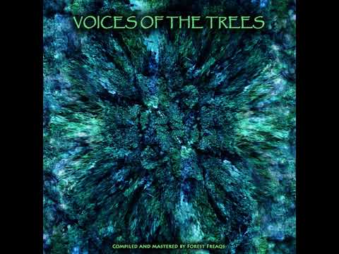 04 Cenotes - Smektachius