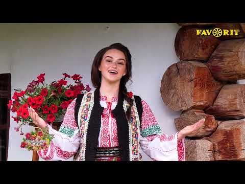 Lavinia Andreescu  - Amintirea