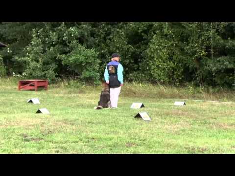 IPSON 10, rallikuulekus