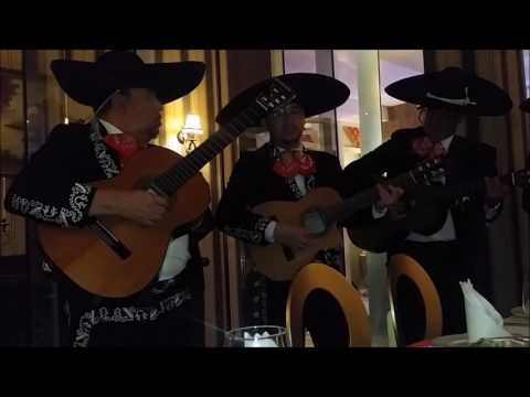 Video 6 de Mariachis Tierra Nueva