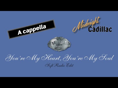 BOLENSKI BEAT You're My Heart, You're My Soul (Soft Radio Edit) (A cappella)