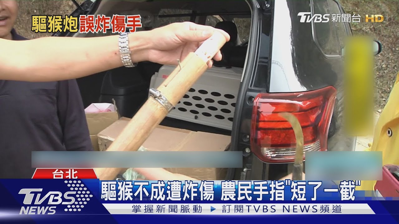 驅猴不成遭炸傷 農民手指「少了一截」