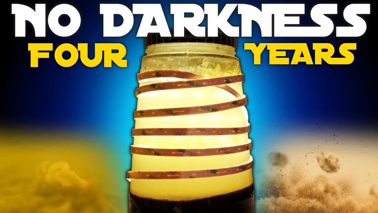 This Closed Ecosystem Received CONSTANT LIGHT For 4 Years - This Happened