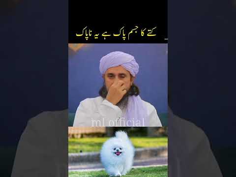 Is the body of a dog pure or impure, Mufti Tariq Masood