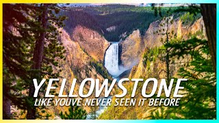 Seeing Yellowstone National Park with the best tour company.