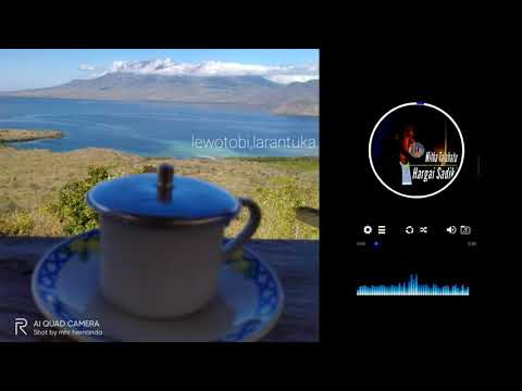 story wa # hargai Sadiki mitha talahatu cover [ sandro tamaela ]