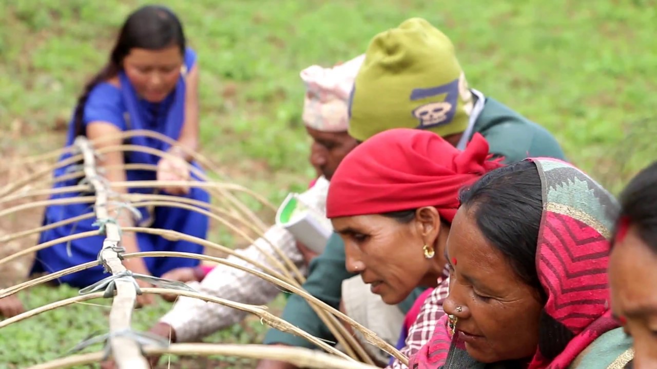 Documentary on  Initiative  for Agricultural Productivity And Commercialization