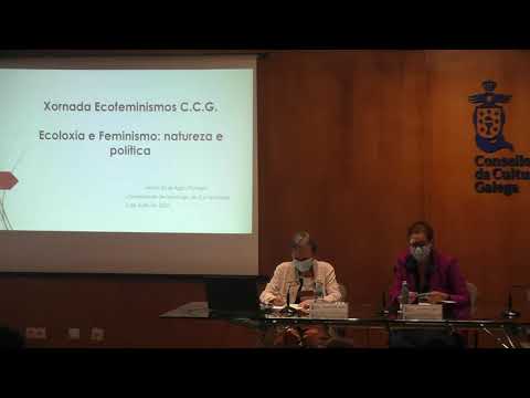 Vídeo: Sesión de relatorios