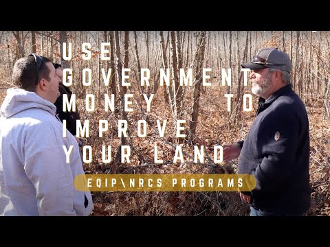 IMPROVE YOUR PROPERTY WITH GOVERNMENT FUNDING || EQIP NRCS PROGRAMS || Food plots, patch clear cut