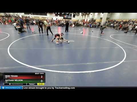 63 Lbs Cons. Round 3 - Nathan Nelson, MN Vs Reid Tehan, WI 7c69