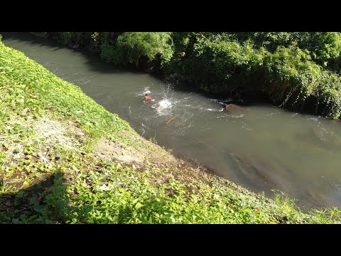 SE03EP051 - The RECORD BREAKER ( TRIPLE K*LL) IPUTOK MO basta DUMILIM - Catch & Cook | SPC Laguna