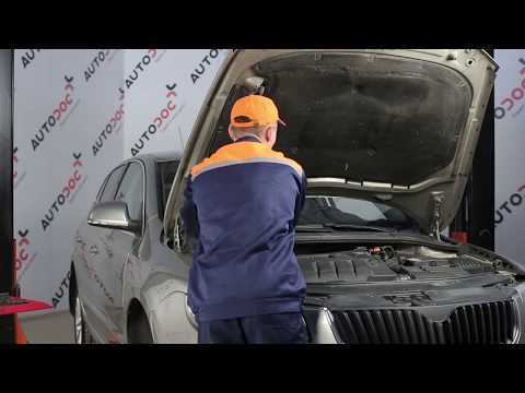 Så byter du fjäderbensstödlager, rep. sats på SKODA SUPERB 2 [Guide]