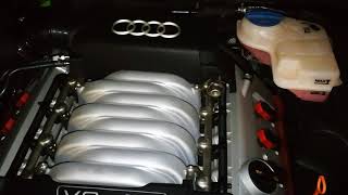 S4 4.2 V8 Chain Rattle