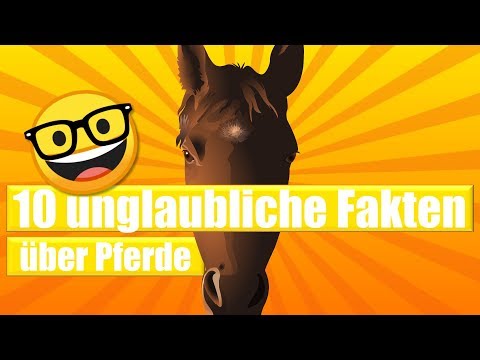 , title : '10 unglaubliche Fakten über Pferde 🐴🤓'