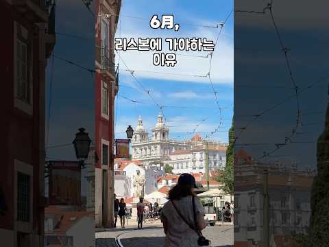핵심만 콕! 유튜브 영상 보고서: 살아남는 방법!