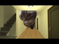 Chipi Chipi Chapa Chapa Cat Nextbot Gmod