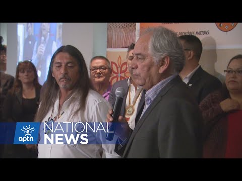 Picard and Simon bringing different visions of change for chief of Quebec and Labrador | APTN News