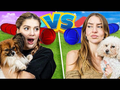 MÓJ PIES RYWALIZUJE Z PSEM JULII ŻUGAJ