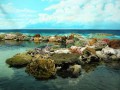 Fairmont- Bikini Atoll