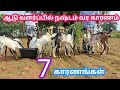 புதிதாக ஆடு வளர்ப்போர் இந்த 7 காரணங்க�