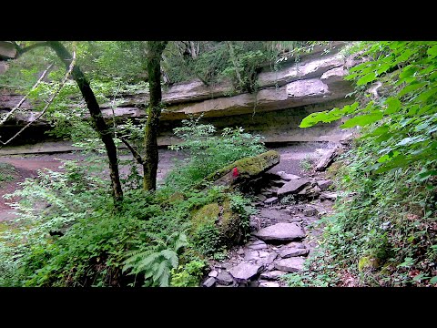 Escursione 4K - Anello del Passo della Colla - Trekking in Toscana