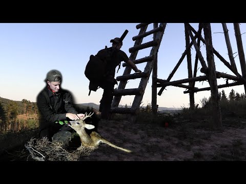 Blattjagd im großen Thüringer Wald - Jagdkrone