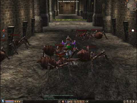 lifedevil Vincenza 2