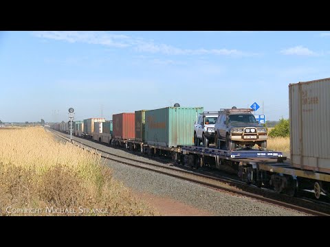 Pacific National Container Train 2AM5 Passes Grain Train (17/1/2023) - PoathTV Australian Railways