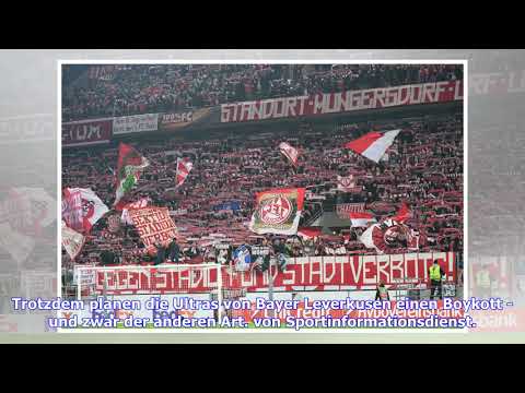 Bundesliga: Ultras von Bayer Leverkusen boykottieren Montagsspiel
