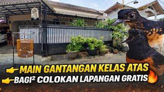 Download lagu SIDAK GILA‼️ 1 TAHUN BERJALAN, OWNER SIAP BAGI²‼️ MURAI COLOKAN LAPANGAN GRATIS DI BEKASI🔥 mp3