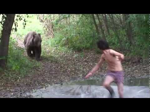 Medve féreg, Ascaris az emberek diagnózisában
