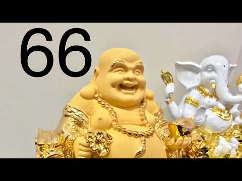 กระต่ายชายแรง เชื้อโรคม้าราคาม้า