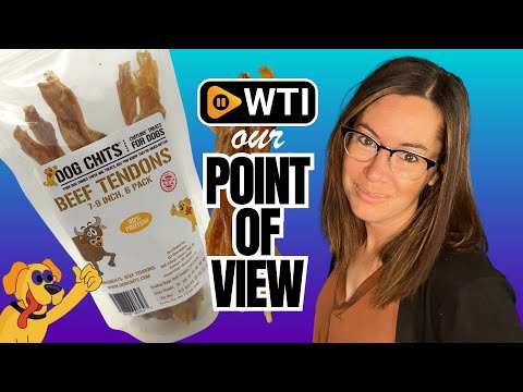 Dog Chits Beef Tendons - WTI product video review