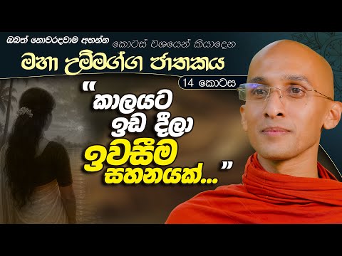 404. කාලයට ඉඩදීලා ඉවසීම සහනයක් | මහා උම්මග්ග ජාතකය 14 | 2024.07.18